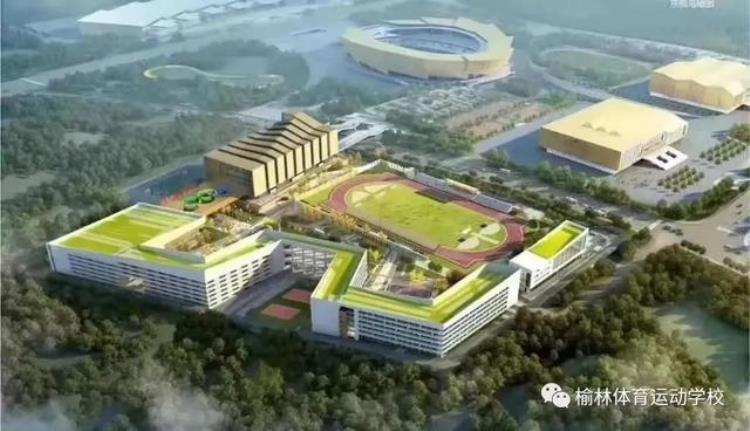 榆林体育运动学校乒乓球队2022年秋季招生简章「榆林体育运动学校乒乓球队2022年秋季招生简章」